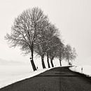 Winter Avenue van Lena Weisbek thumbnail