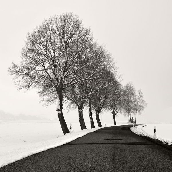 Winter Strasse von Lena Weisbek