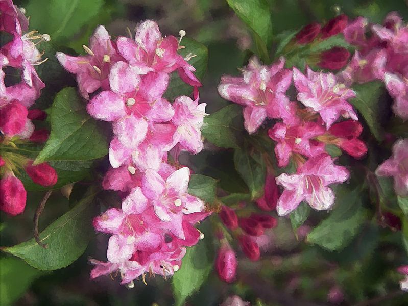 zoet gebak van Edgar Schermaul