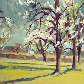 Blossoms in the orchard by Nop Briex