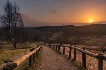 Schöner Sonnenaufgang in einem wunderschönen Naturschutzgebiet von Rick van de Kraats