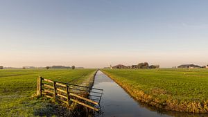 Prairie avec clôture, fossé, fermes et saules à têtard