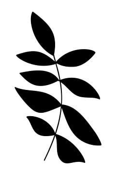 Botanical basics. Black and white drawing of simple leaves no. 2 by Dina Dankers