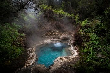 Soda Fountain van Rob van der Wal