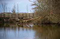 Riverland