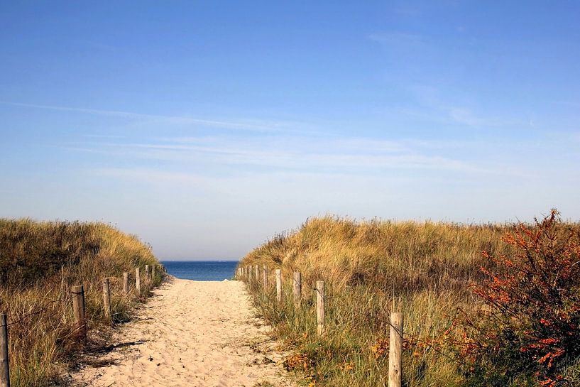 Herbstdünen by Ostsee Bilder