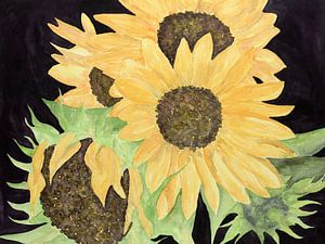 De zonnebloemen (aquarel schilderij bos bloemen en planten natuur geel zwart groen tuin Frankrijk)