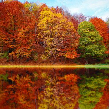 Autumn with water reflection by Gabi Siebenhühner