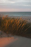 The last bit of light atop a dune