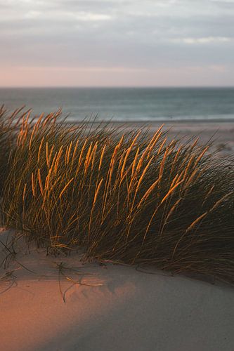 Le dernier rayon de lumière au sommet d'une dune