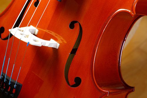 Cello