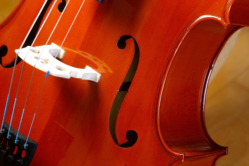 Cello by Thomas Jäger