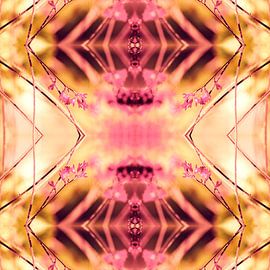 PINK SPANGLES no9-R2 van Pia Schneider