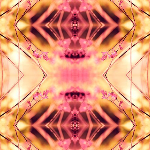 PINK SPANGLES no9-R2