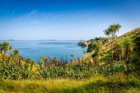 Prachtige baai in Waiheke Island, Nieuw Zeeland