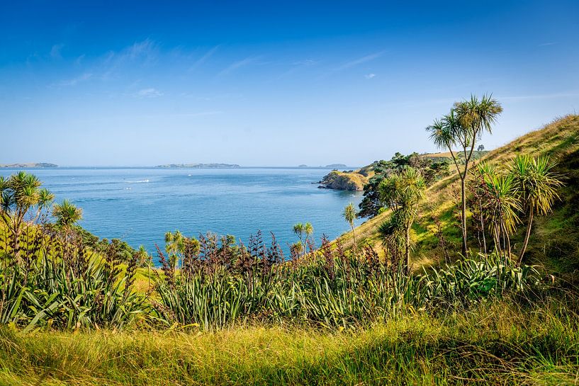 Prachtige baai in Waiheke Island, Nieuw Zeeland van Troy Wegman