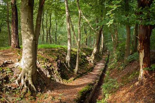 Zilverbeek landgoed Hulshorst