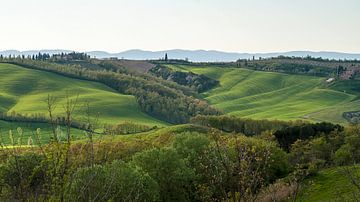 Golvend Toscaans landschap van Arina Keijzer