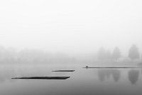 Misty morning