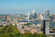Rotterdam met de Erasmusbrug vanuit de Euromast. by Brian Morgan thumbnail