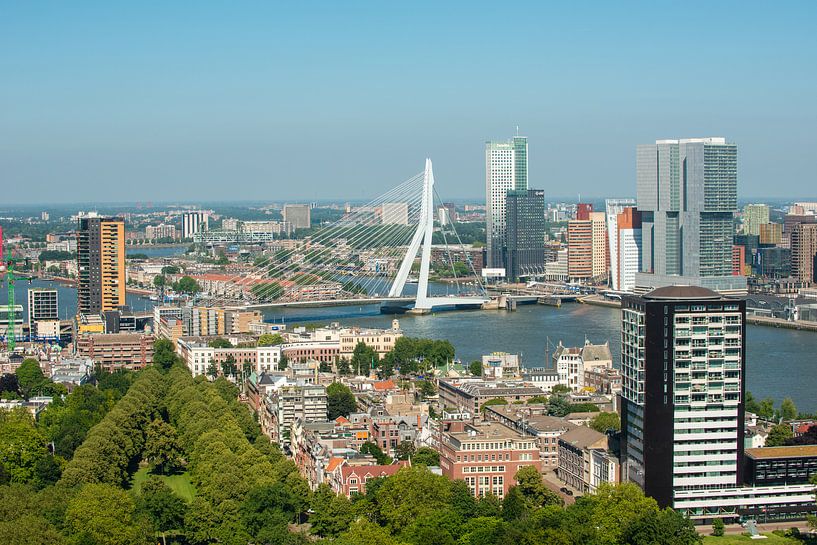 Rotterdam met de Erasmusbrug vanuit de Euromast. by Brian Morgan