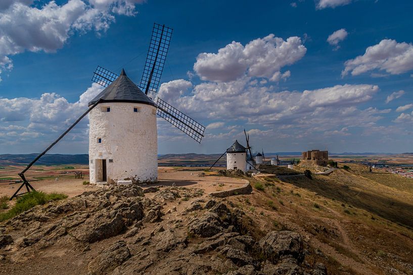 The windmills of Don Quixote by Erwin Floor