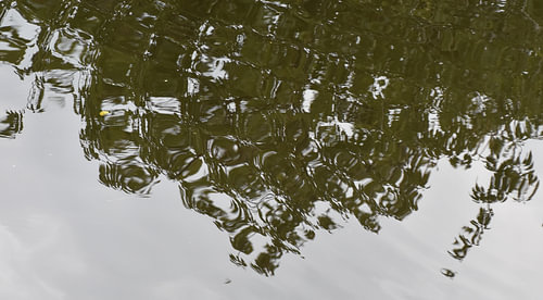 Waterrimpelingen