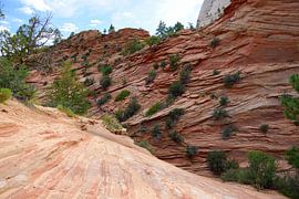 Taking in the greatness by Frank's Awesome Travels