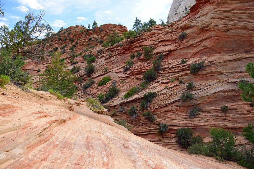 De grootsheid in je opnemen van Frank's Awesome Travels