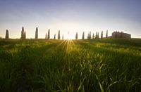 Sunrise in Tuscany