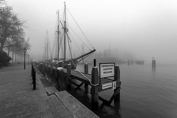 black and white no. 3