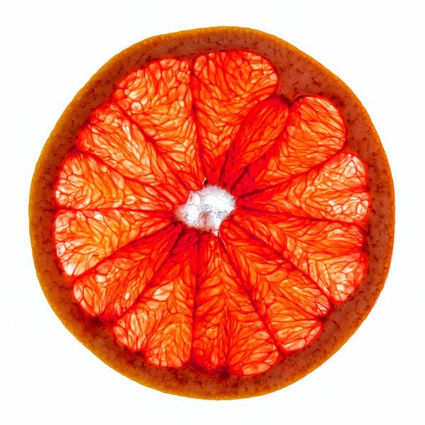 Gros plan d'une tranche de pamplemousse sur fond blanc. par Carola Schellekens