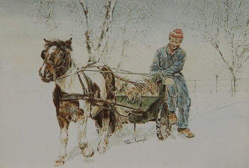 Boerenjongen met zijn Shetlander