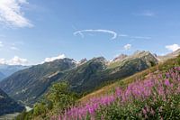 Blick von der Lauchernalp