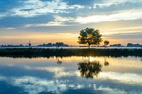 Zonsopgang over 't Joppe en de weilanden van de Zwanburgerpolder in Warmond