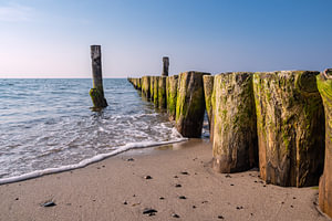 Landschaft an der Küste der Ostsee in Graal-Müritz