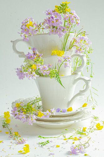 Nature morte "Blanc III"