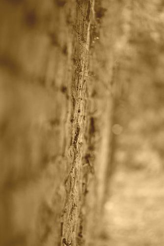 The wall