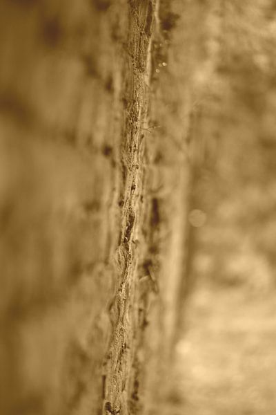 The wall by Frank Ubachs fotografie