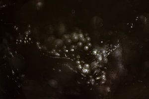 Perles | Photo abstraite | Fine Art