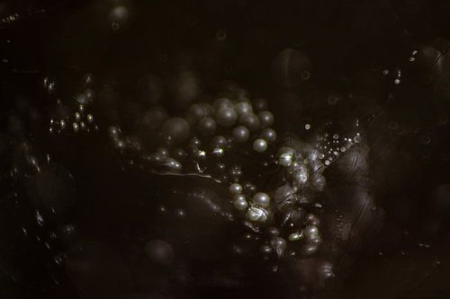 Perles | Photo abstraite | Fine Art