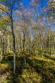 Unterwegs im Nationalpark Rhön von Oliver Hlavaty