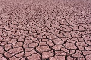 Patterns in the desert