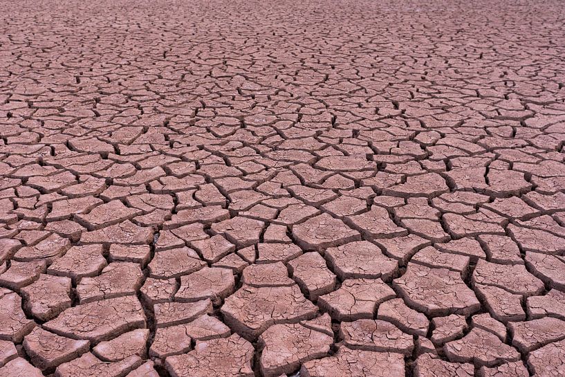 Patterns in the desert von Jeroen Kleiberg