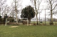 Voetbalveld met boerderij op de achtergrond bij VV Seta (Sportclub Exloërmond tot Afdraai) | Over de
