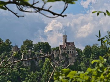 Sprookjesachtig kasteel Lichtenstein van Timon Schneider