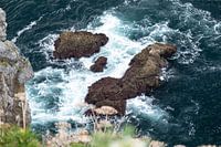 Rugged coast