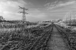 Le paysage des polders sur Ivo de Rooij