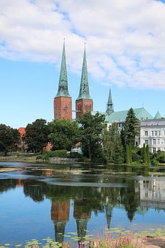 Kathedraal van Lübeck van Pfotowelt