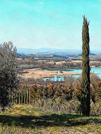Lone Cypress with Lago di Chiusi in Tuscany by Dorothy Berry-Lound